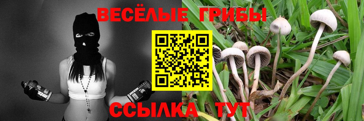 Псилоцибиновые грибы прущие грибы Грязи