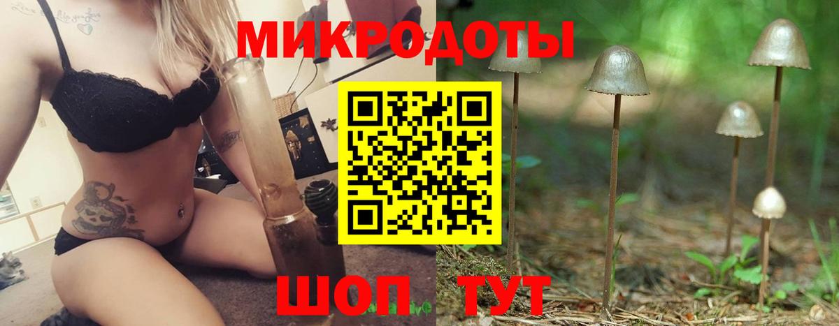 Грязи  Псилоцибиновые грибы прущие грибы  Вход с VPN  Псилоцибиновые грибы GOLDEN TEACHER 